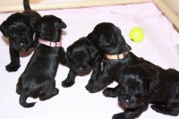 /album/nu-st%c3%a5r-de-alle/img-3322-jpg/